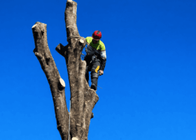 Hero Banner 3 Hero Banner 3