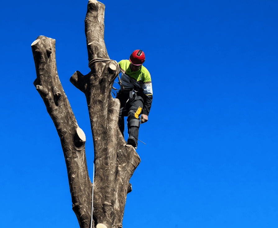 Hero Banner 3 Hero Banner 3